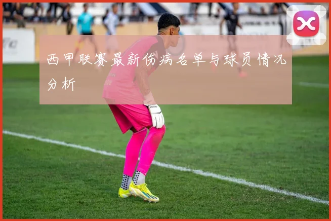 西甲联赛最新伤病名单与球员情况分析