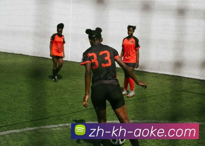 澳客足彩平台生态图